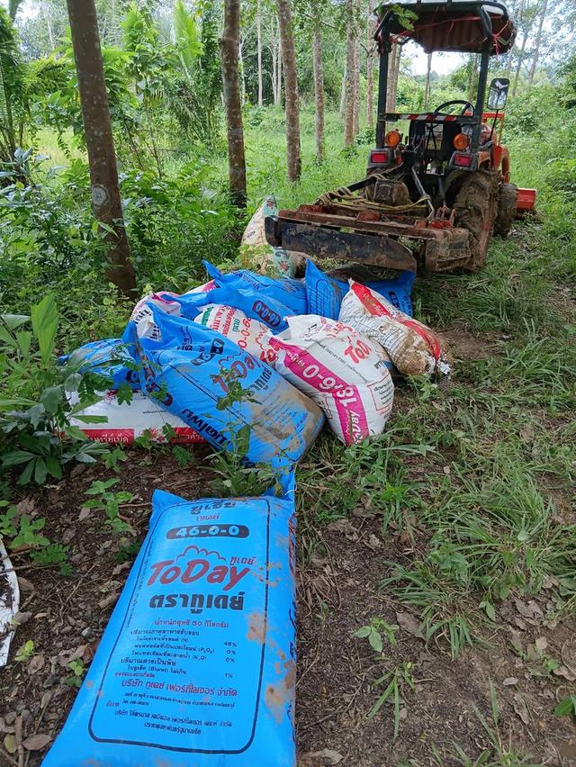 ที่ดิน สวนยางพร้อมกรีด จำนวน 10 ไร่ 2