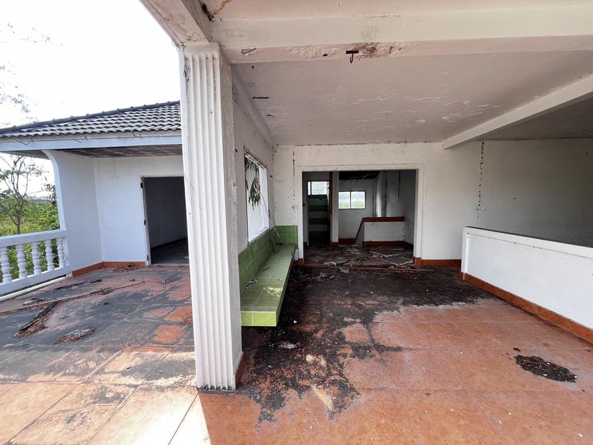 ขายบ้านเก่าพังตามสภาพ 11