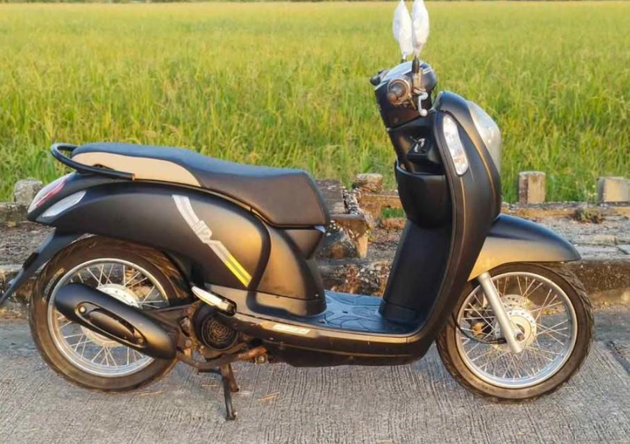 2015 Honda scoopy i 2