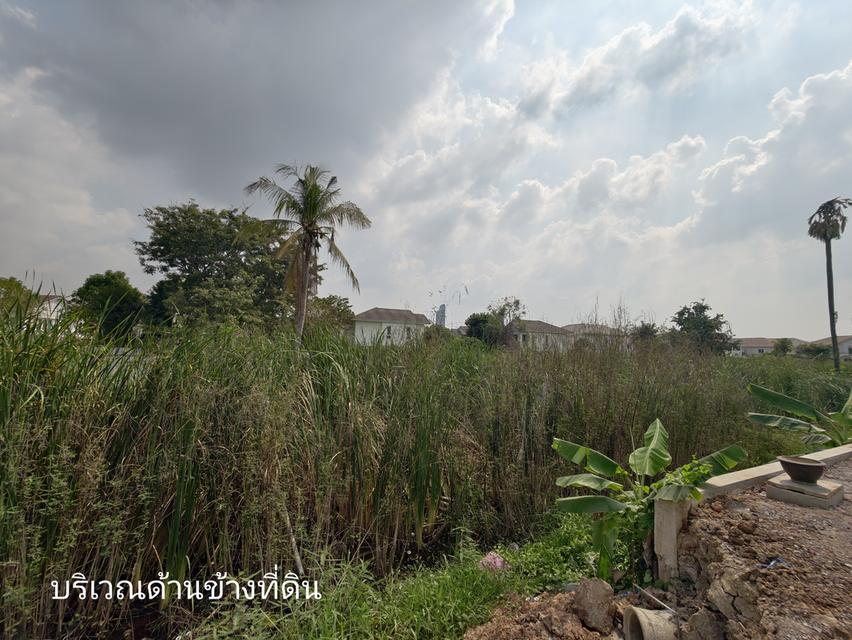 ขายที่ดินเปล่า ไทรม้า นนทบุรี ใกล้แม่น้ำเจ้าพระยา ขายยกแปลง เจ้าของขายเอง 6