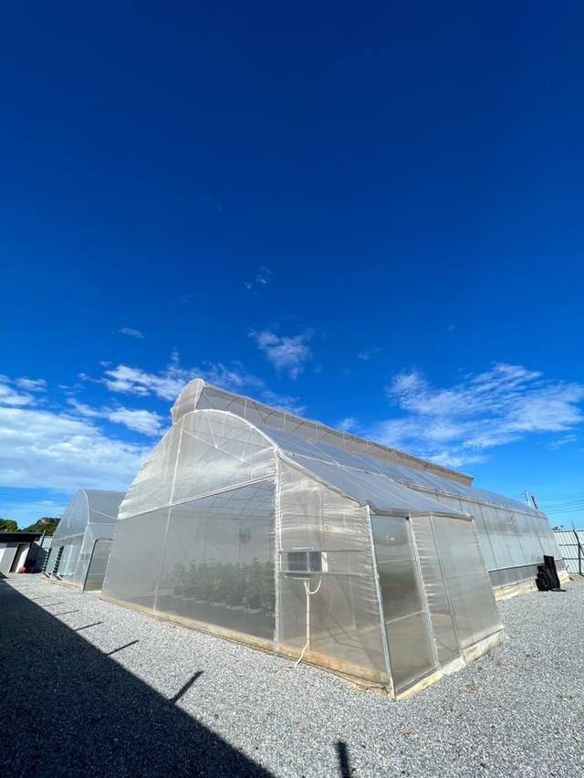 ขายที่ดินปากช่อง 26 ไร่ ปลอดแผ่นดินไหวน้ำไม่ท่วม ต.พญาเย็น อ.ปากช่อง จ.นครราชสีมา 6