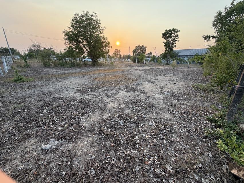 ขายที่ดินขนาด 200 ตรว. ตำบลทะเลบก อำเภอดอนเจดีย์ จังหวัดสุพรรณบุรี 1