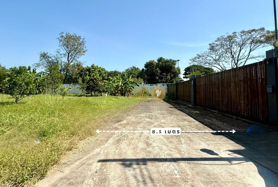 ที่ดินแปลงสวย ถมแล้ว 250 ตรว. มบ.แสนสบาย ติด ถ.พระเทพฯ ตัดใหม่ 3