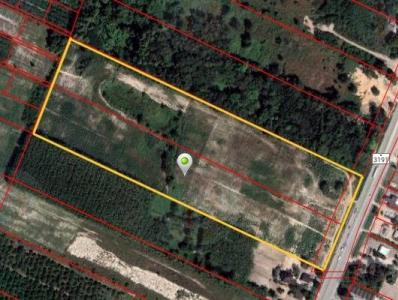 ขายที่ดิน50ไร่ทำเลสวย อ.แกลง จ.ระยอง 3