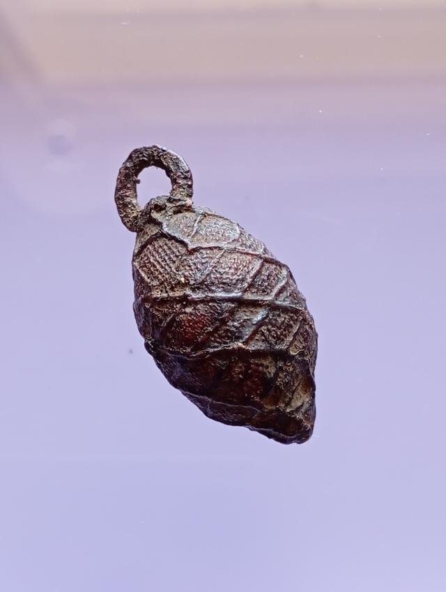 หมากทุยหลวงปู่เอี่ยมวัดหนัง