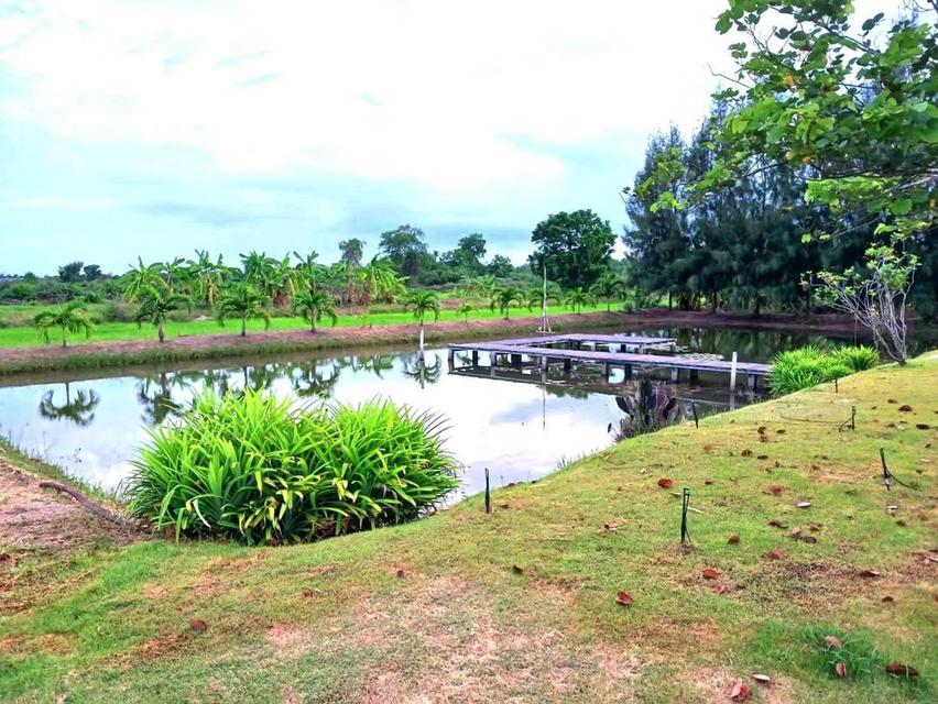 บ้านเดี่ยวศาลายา-คลองโยง(บ้านใหม่) 12