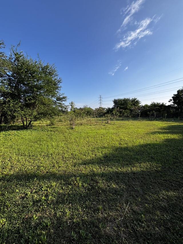 ที่ดินติดถนน ขายด่วน! 7 ไร่ 57 ตรว. อ.บ้านโป่ง ราชบุรี | เจ้าของขายเอง  4