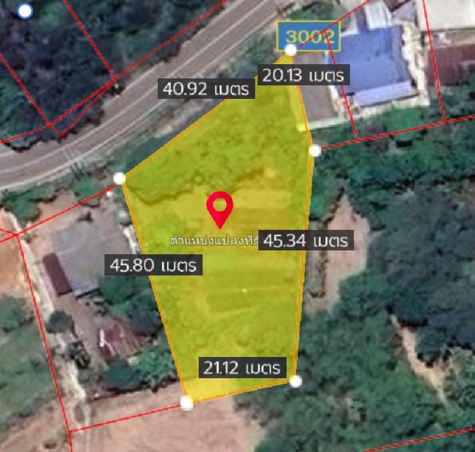 ขายที่ดินหนองยาวถมแล้ว 391 ตรว. ติดถนนเส้นฉช3002 ใกล้ตลาดสดพนม-10กม. อ.พนมสารคาม ฉะเชิงเทรา 4