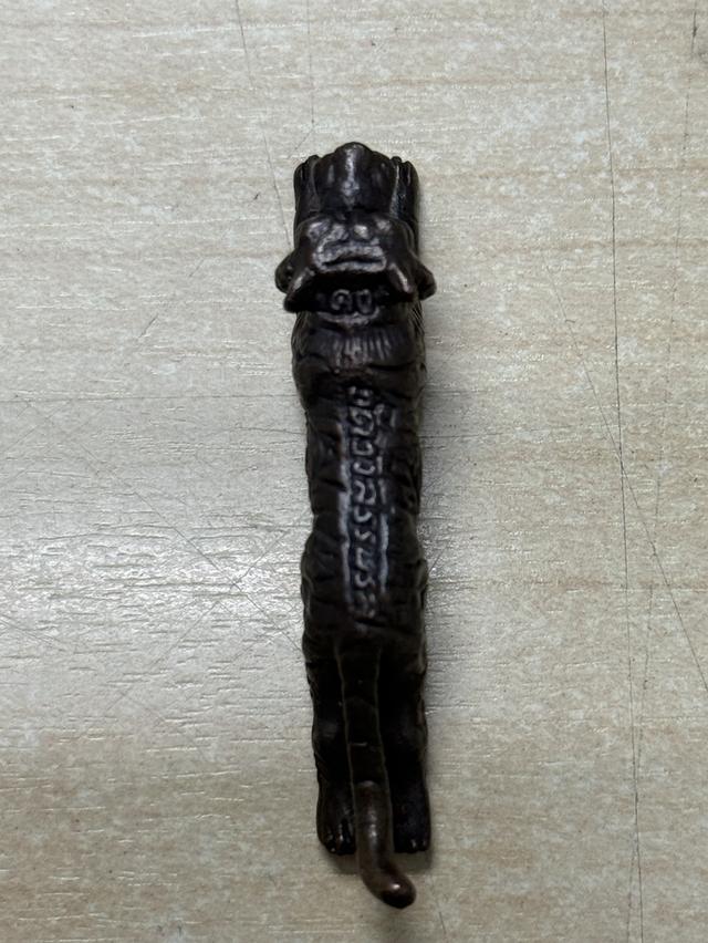 เสือหลวงพ่อคง เสาร์ห้า 4