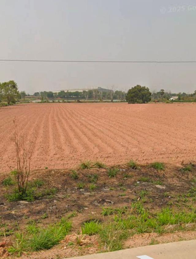 ที่ดินอำเภอขามทะเลสอจังหวัดนครราชสีมา ติดถนนวงแหวนรอบเมือง ทร.290  ขนาดที่ดิน 31-2-98ไร่  หน้ากว้างติดถนน 135ม. 3