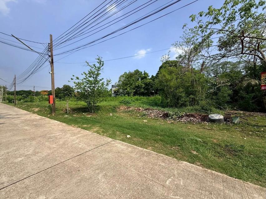 ขายด่วนที่ดินพัฒนาการ 200 ตรว ติดถนนสาธารณะ ถมแล้ว ซ.พัฒนาการ 58 สวนหลวง กทม 8