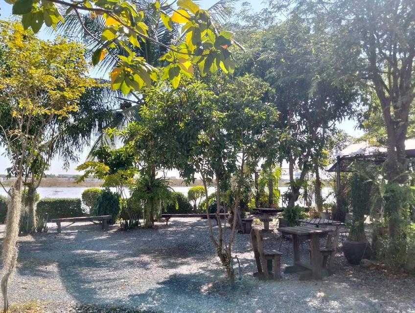 ขายบ้านชั้นเดียวพร้อมกิจการร้านกาแฟ ซอยเทศบาล 14(ซอยแดนทอง) สามโคก ปทุมธานี 5