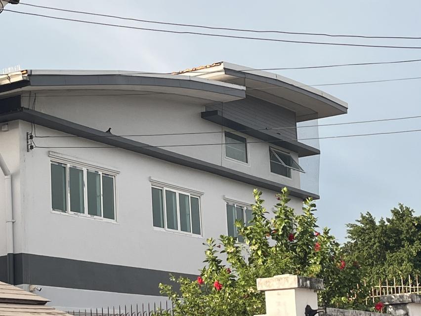 ขายที่ดินพร้อมอาคารตึก 2 ชั้นครึ่ง(สร้างใหม่) คลองหลวง  ปทุมธานี  ทำเลดี  แหล่งชุมชน การคมนาคมสะดวก 11