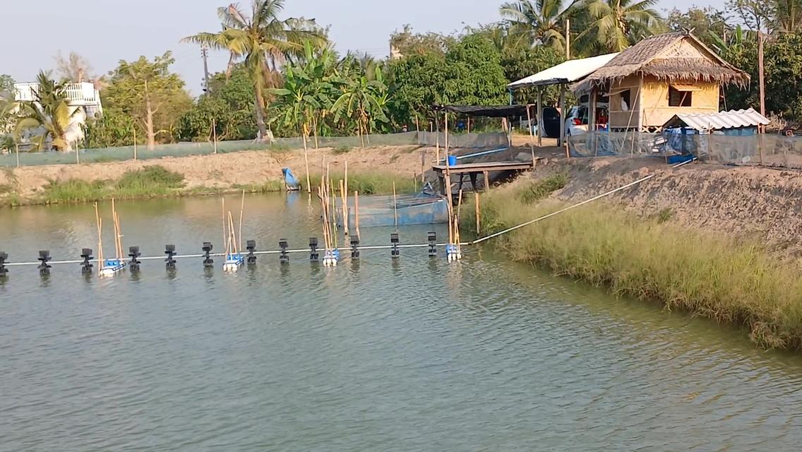 ที่ดินบ่อปลา ขนาด7ไร่ ราคา 4.49 ล้านบาท ดอนตูม นครปฐม 6