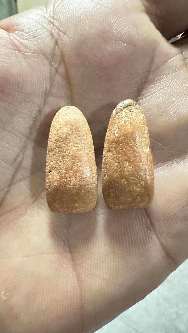 พระสีวลีหลวงพ่อกวยมีย่ามปี2500แท้ 2