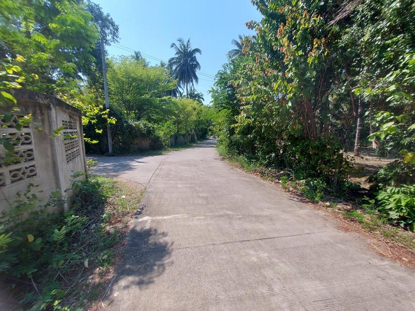 ที่ดินผืนใหญ่ใกล้ทะเล สำหรับคนที่ต้องการความเป็นส่วนตัว 16