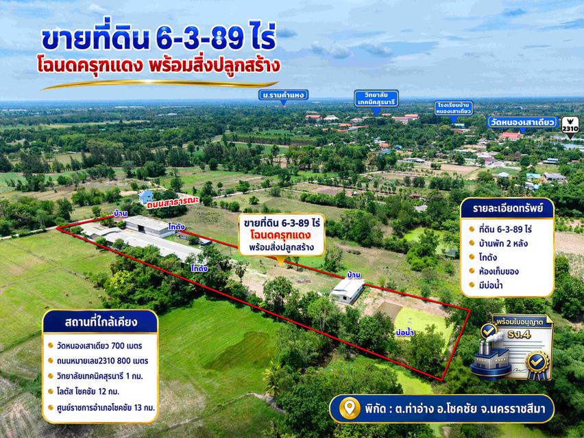 ขายที่ดิน 6 ไร่ 3 งาน 89 ตารางวา ครุฑแดง พร้อมสิ่งปลูกสร้าง พร้อมใบอนุญาต รง.4 4