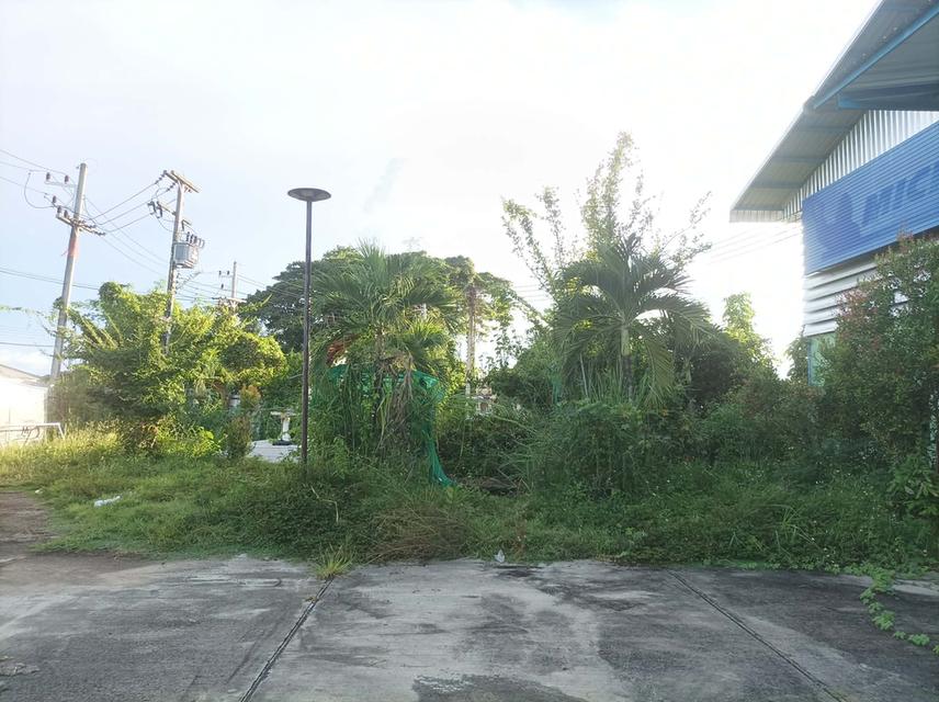 ขายที่ดิน(โรงงานเก่า) ต.แม่คือ อ.ดอยสะเก็ด จ.เชียงใหม่ 10