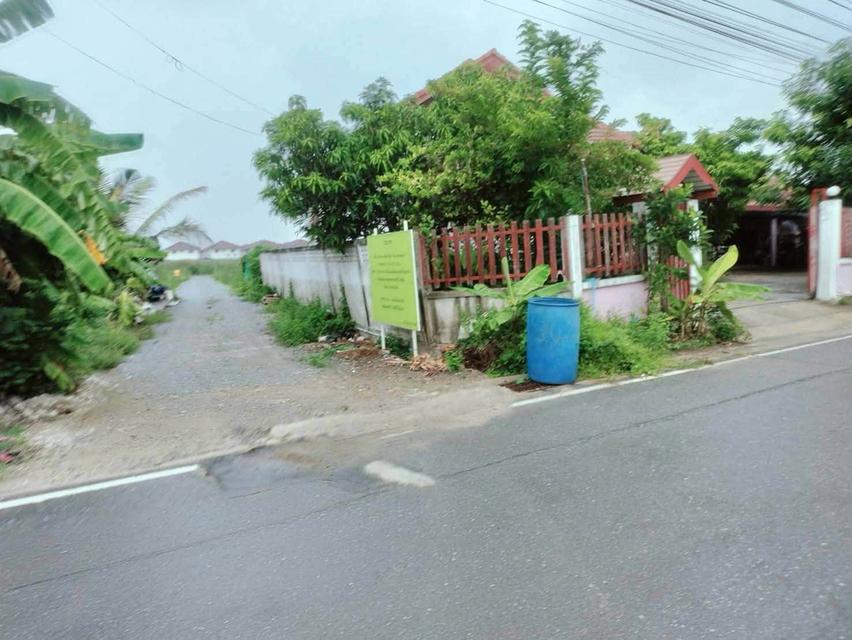 ขายด่วนที่ดินใกล้วัดบางม่วง 50 ตรว ติดถนนสาธารณะ ต.บางม่วง อ.บางใหญ่ จ.นนทบุรี 6