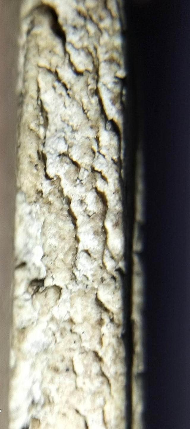 พระสมเด็จวัดระฆังพิมพ์อกกระบอกเล็ก รูปที่ 7