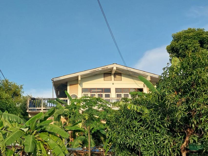 ขายบ้านที่ดินพร้อมกิจการบ้านและห้องเช่าย่านจรัญฯ 18