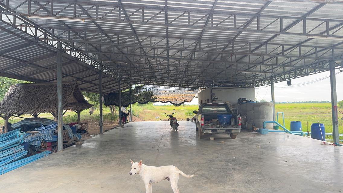ขายที่ดิน เนื้อที่ 14 -3 -40 ไร่ สุพรรณบุรี สามชุก 4