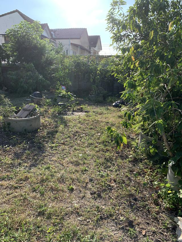 ทีดินเปล่า เนื้อที่ 60 ตารางวา ซอยวิภาวดีรังสิต39 ถนนวิภาวดีรังสิต 6