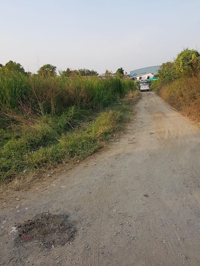 ให้เช่าที่ดินเปล่า 358 ตารางวา 9