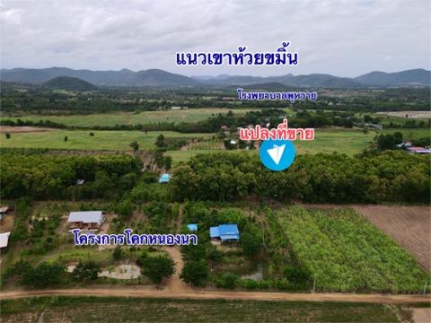 ขายที่ดินวิวเขาพร้อมสวนสักอายุ20ปีโฉนดครุฑแดงพร้อมโอนไฟฟ้าประปาพร้อม 4