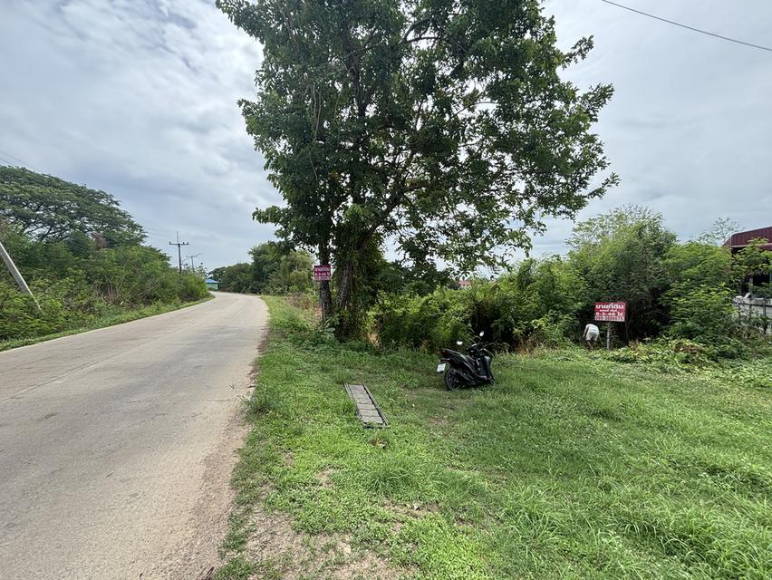 ขายที่ดิน 8-3-48 ไร่ 2