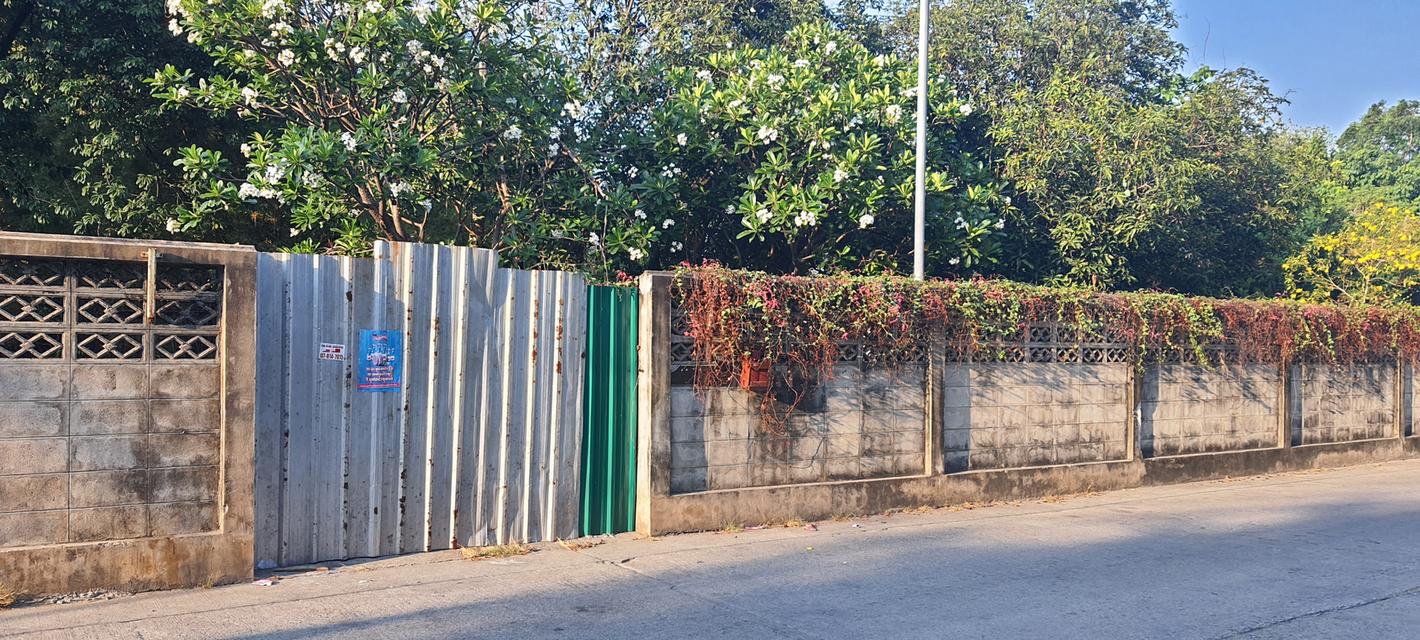 ขายที่ดิน 200 ตรว ซ.ประเสริฐมนูกิจ 40 2