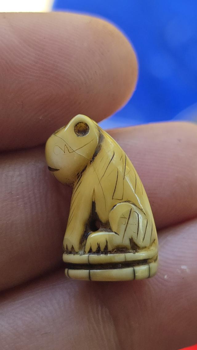 เสือแกะหลวงพ่อปาน วัดคลองด่าน