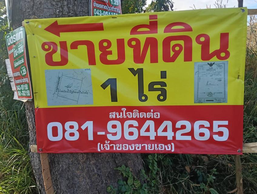 ขายที่ดินเปล่า 1 ไร่ ใก้ลเมืองขอนแก่น บ้านไก่นา ต.สำราญ อ.เมือง จ.ขอนแก่น 6