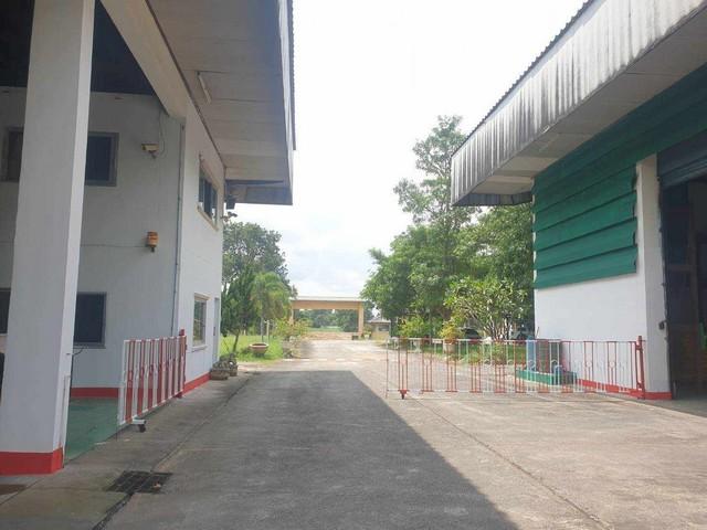 ขาย ให้เช่าโรงงานโกดังติดถนนมิตรภาพขอนแก่น เหมาะทำศูนย์กระจายสินค้าหรือเก็บสินค้า บ้านแฮด  ขอนแก่น 3