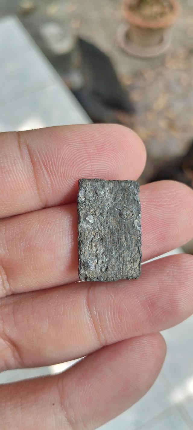 พระเครื่อง หลวงปู่ศุข วัดปากคลองมะขามเฒ่า รูปที่ 4