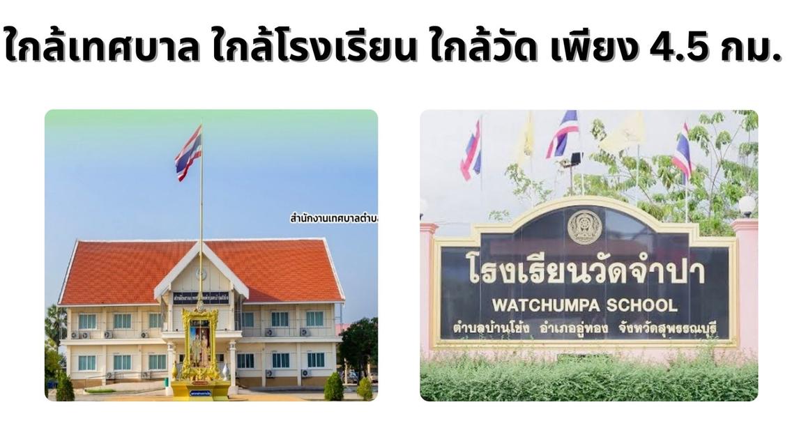 ที่ดินสวนป่า สร้างรายได้ อู่ทอง สุพรรณบุรี ขนาด 10 ไร่  7