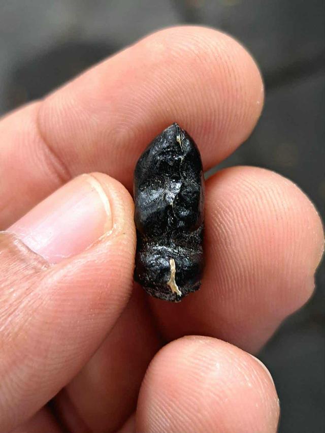 พระปิดตาแจกแม่ครัว2หน้าหลวงพ่อทองสุข วัดสะพานสูงปี2495-2525