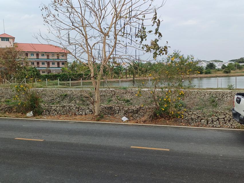 ที่ดินเปล่า เจ้าของขายเอง บางปะกง ฉะเชิงเทรา 8