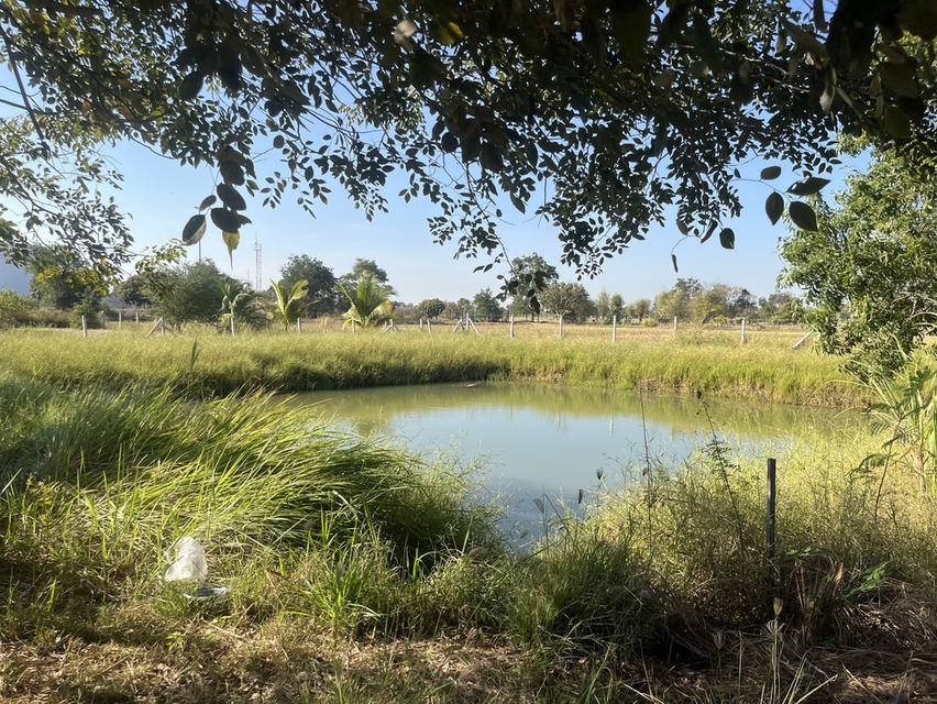 ขายที่ดิน1ไร่2งาน ใกล้คลังน้ำมัน เสาไห้ จ.สระบุรี 6