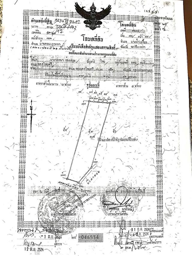 ขายที่ดิน คลอง 21 อำเภอบางน้ำเปรี้ยว จังหวัดฉะเชิงเทรา 1