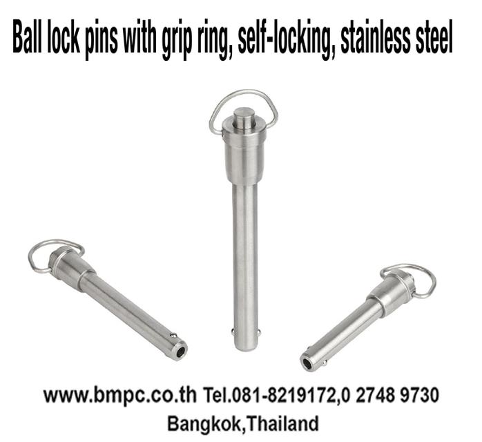 Linch pin, locking pin, สลักล๊อก, เดือยล๊อก, Index plunger, locking bolt, ball plunger, spring plunger รูปที่ 11