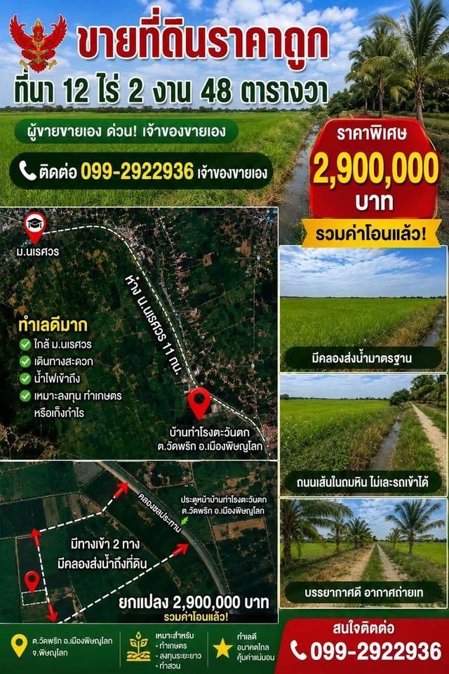ที่ดินราคาถูก ที่นาพิดโลก ที่ดินพิษณุโลก 1