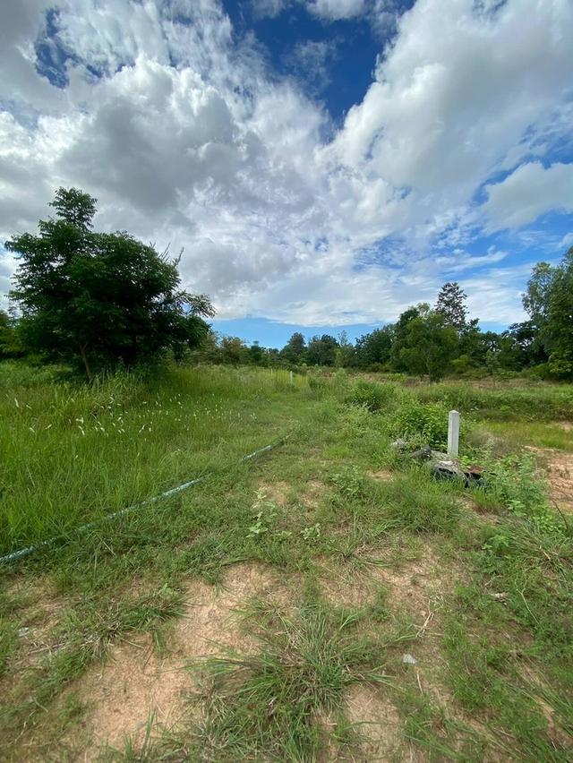 ขายที่ดิน เมืองพล จังหวัดขอนแก่น 10