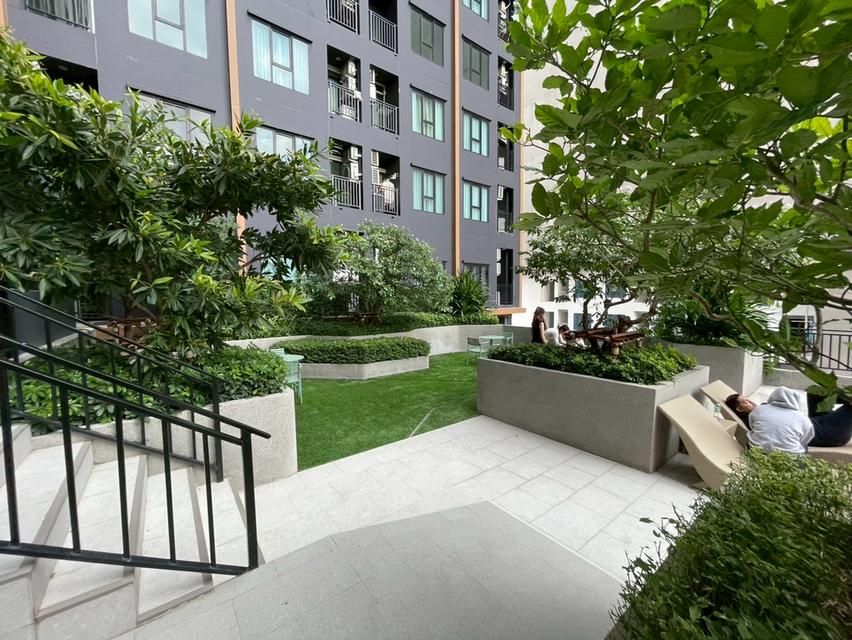 คอนโดเทอร์ร่า เรสซิเดนซ์ 2 ธรรมศาสตร์-รังสิต ถนนคลองหลวง ตำบล คลองหนึ่ง อำเภอ คลองหลวง จังหวัด ปทุมธานี 17