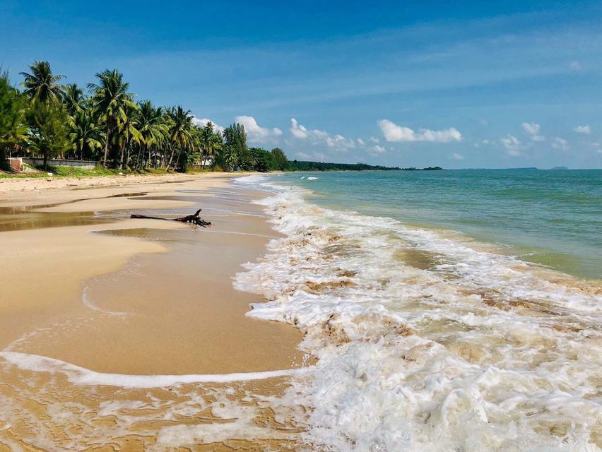 ที่ดินชายทะเล หาดสะพลี จ.ชุมพร ราคาถูก 1
