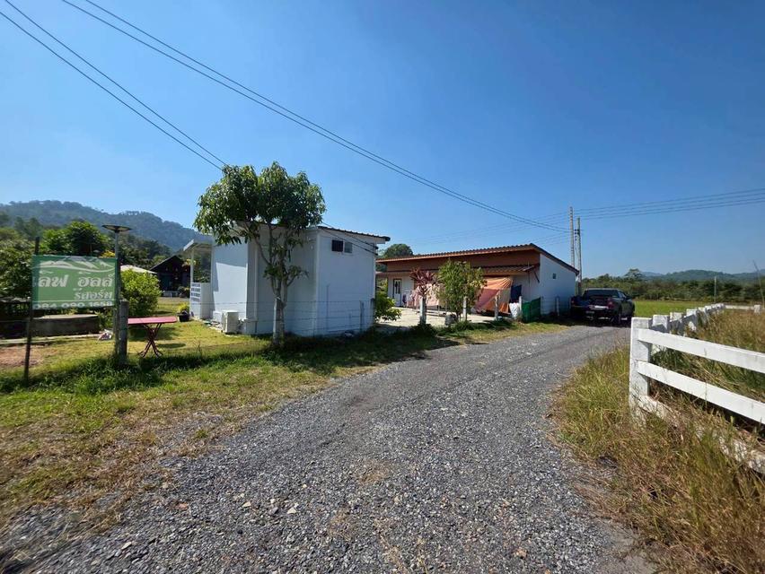 ขายที่ดินเปล่า ใกล้อ่างเก็บน้ําห้วยปรือ เขาพระ นครนายก 5