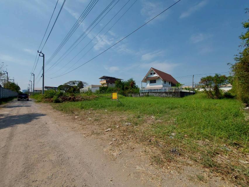 ขายที่ดินเปล่า ถนนเจริญพัฒนา คลองสามวา กรุงเทพมหานคร 2