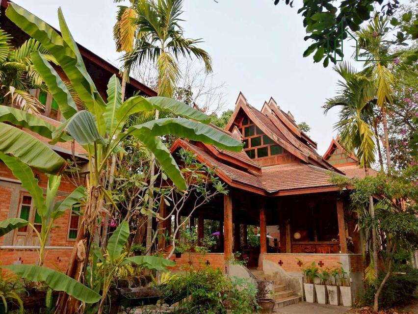 ขายด่วนโรงแรม พร้อมกิจการ หางดง เชียงใหม่ 13