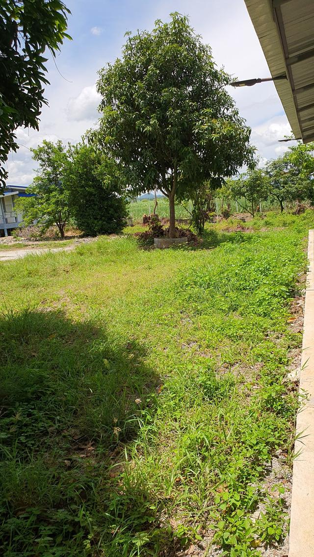 บ้านพร้อมที่ดิน ต.ปากช่อง อ.จอมบึง ราชบุรี 5