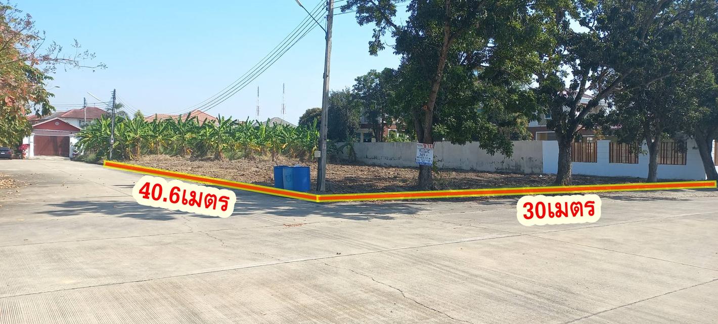ที่ดินสร้างบ้านม.วริยาวิลล์ บรมราชชนนี พุทธมณฑลสาย4 ใกล้มหิดลศาลายา แปลงมุม ถนนเมน 305 ตร.ว สร้างบ้าน สำนักงาน ราคาพิเศษ 15
